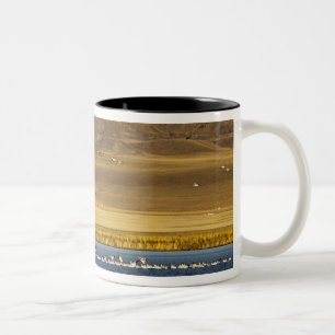 Schneegänse während des Frühjahrszugs Zweifarbige Tasse