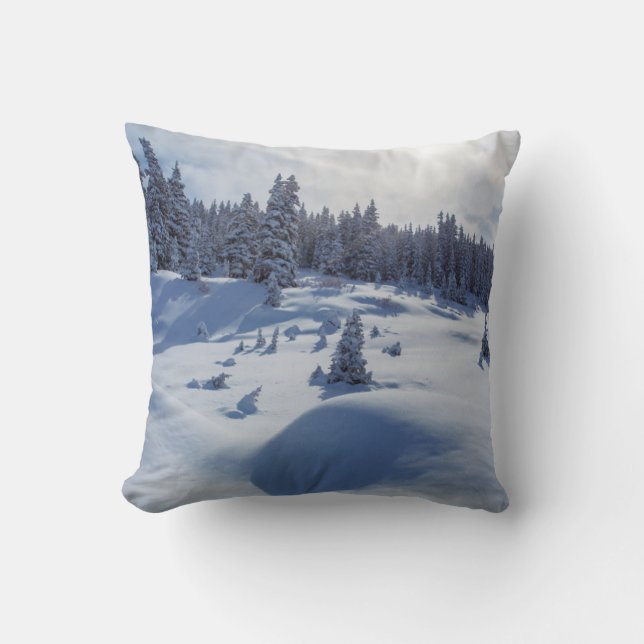 Schneegebiet Kissen (Vorderseite)