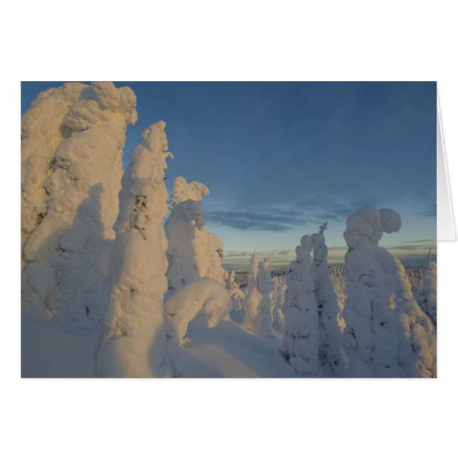 Schneegeister bei Sonnenuntergang im Pfingstgebirg (Vorderseite (Horizontal))
