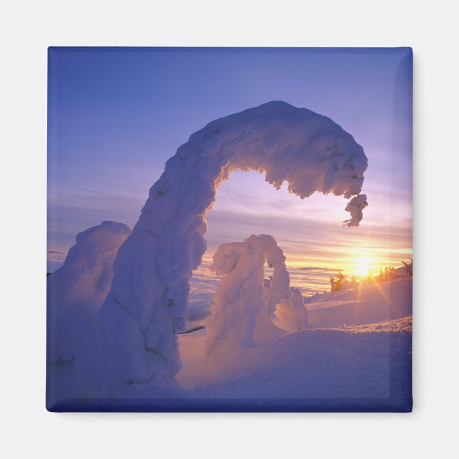 Schneegeister im Pfingstgebiet von Montana Magnet (Vorne)