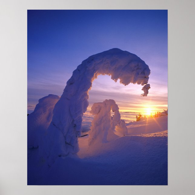 Schneegeister im Pfingstgebiet von Montana Poster (Vorne)