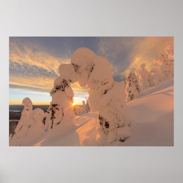 Schneegeister im Weißfischbereich Poster (Vorne)