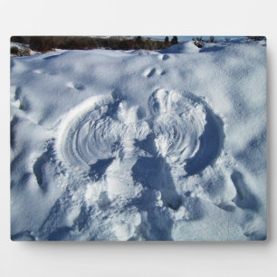 Schneegel Fotoplatte
