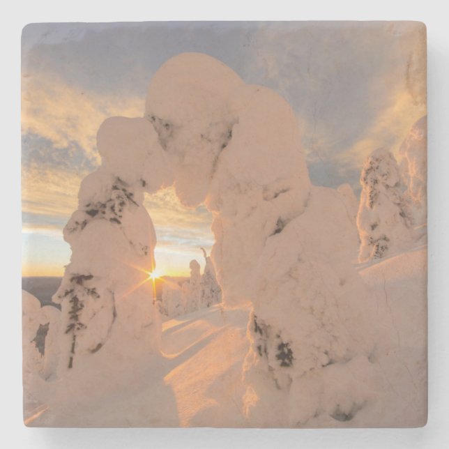 Schneeghost in der Whitefish Range Steinuntersetzer (Vorderseite)