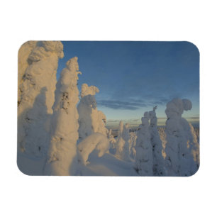 Schneeghosts bei Sonnenuntergang am Whitefish Moun Magnet