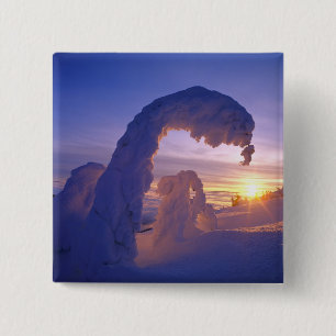 Schneeghosts in der Whitefish Range in Montana Button