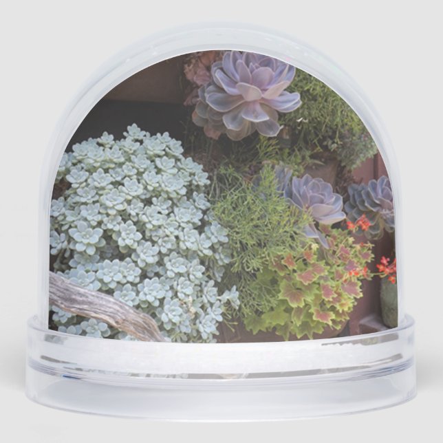 Schneeglobe Schneekugeln (Vorderseite)