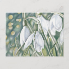 Schneeglöckchen - Farbstiftzeichnung Postkarte