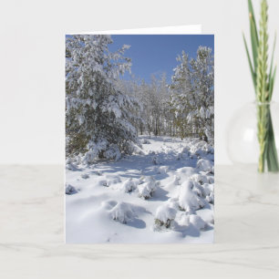 Schneegrusskarte Winterwald Feiertagskarte