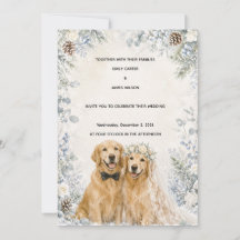 Schneehochezeitliche Golden Retriever-Hochzeitsein