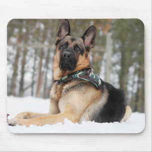 Schneehund Mousepad