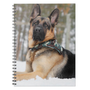 Schneehund Notizblock