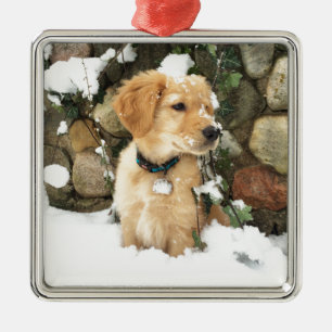 Schneehund Silbernes Ornament