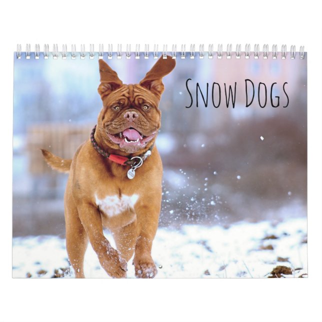 Schneehunde Kalender (Titelbild)