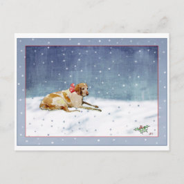 Schneehundkarte Postkarte