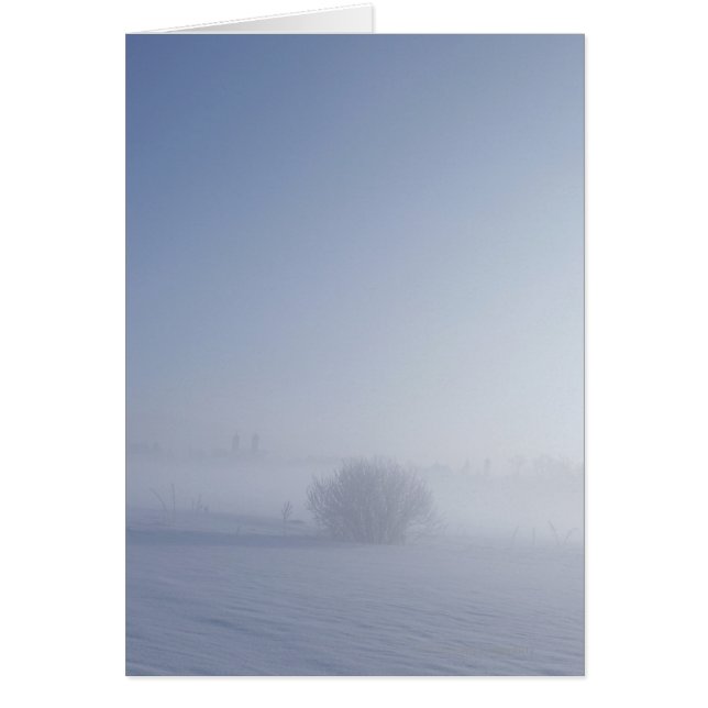 Schneekalte Winterlandschaft (Vorne)