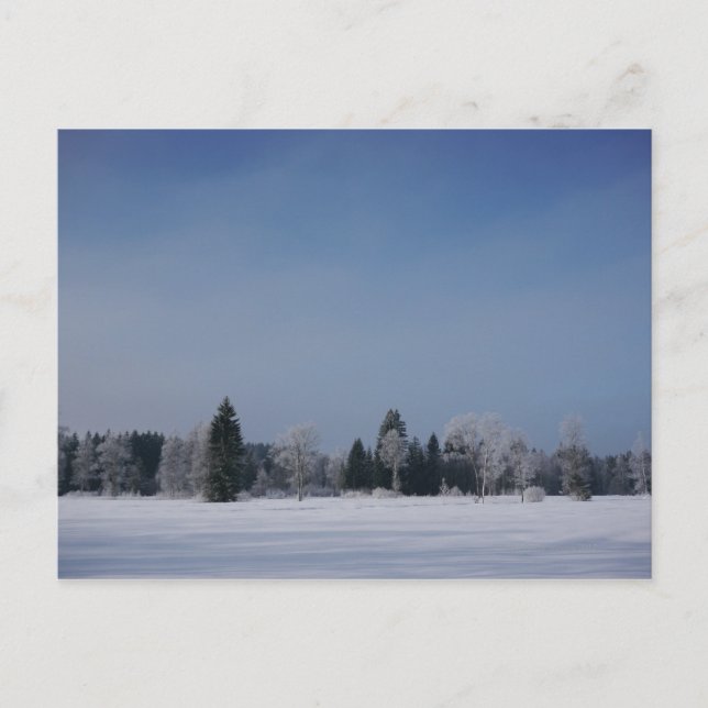 Schneekalte Winterlandschaft 12 Postkarte (Vorderseite)