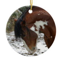 Schneekanieren