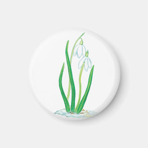 Schneekanonen (Galanthus nivalis) Magnet