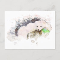 *~* Schneekarktis Weißer Polar Fox Ap18 Wildtiere