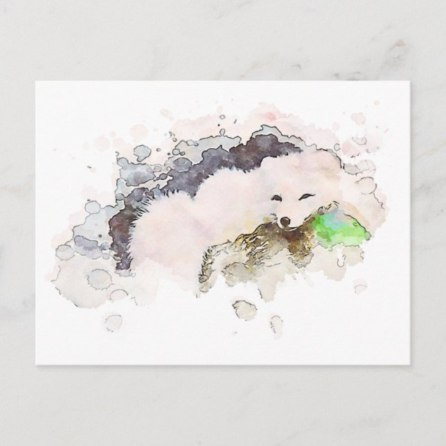 *~* Schneekarktis Weißer Polar Fox Ap18 Wildtiere Postkarte (Vorderseite)