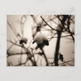 Schneekarte Postkarte