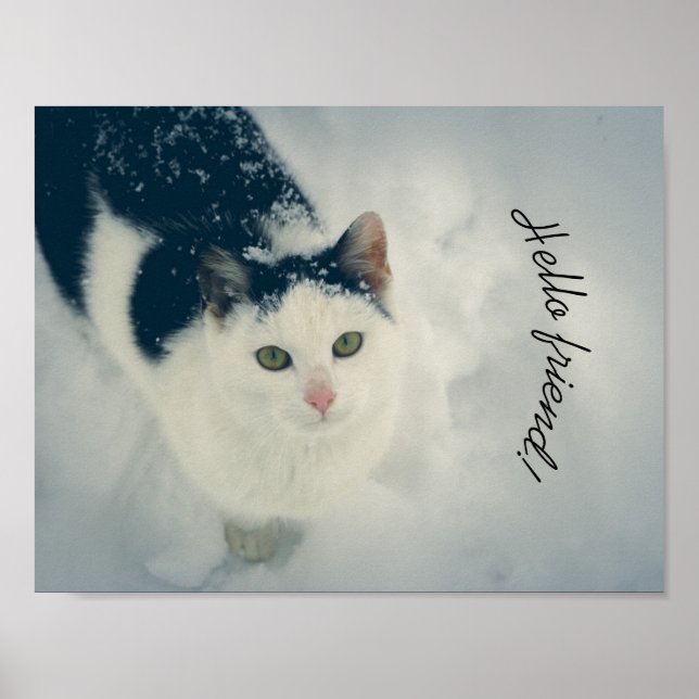 Schneekatze Poster (Vorne)