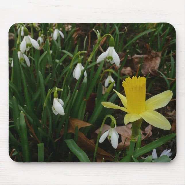 Schneekatzen und trostlose Frühlingsblüte Mousepad (Vorne)