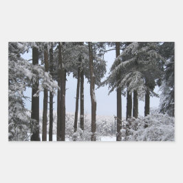 Schneekiefern in blauem Licht — Rechteckiger Aufkleber