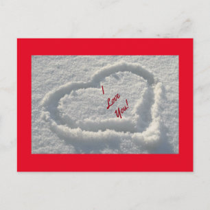 Schneekraut Postkarte