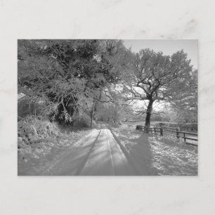 Schneelandschaft: Cheshire Postkarte