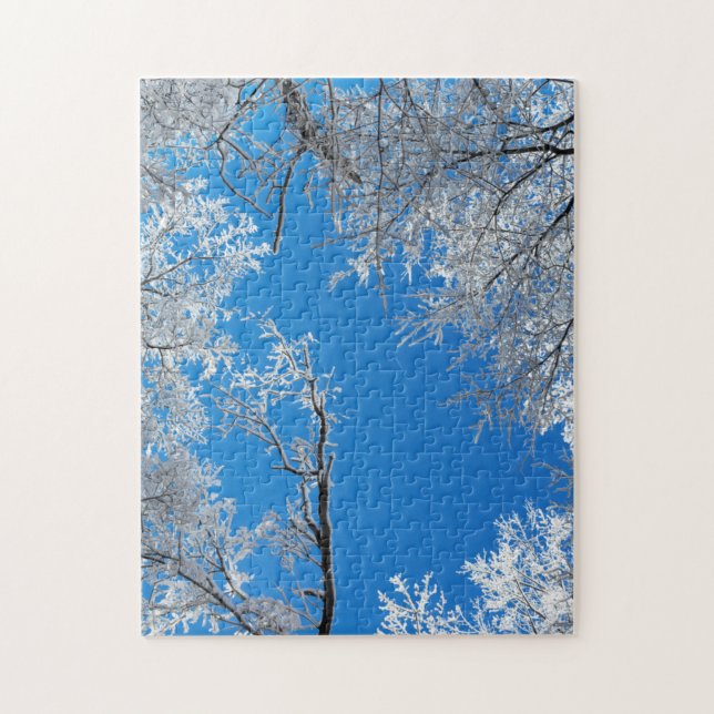 Schneelandschaft im Winter (Vertikal)