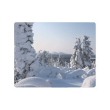 Schneelandschaft im Winter mit Tannen