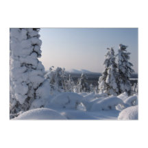 Schneelandschaft im Winter mit Tannen