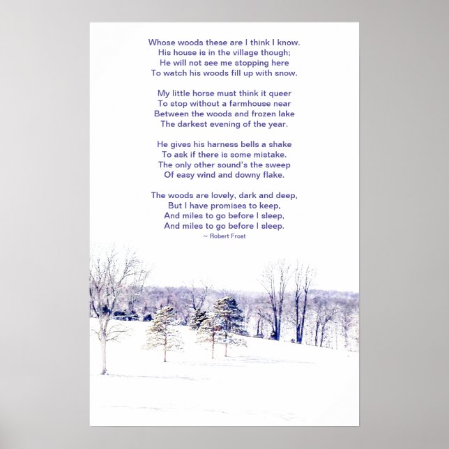 Schneelandschaft im Winter Poster (Vorne)