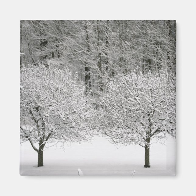 Schneelandschaft Magnet (Vorne)