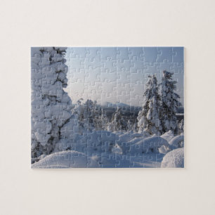 Schneelandschaft mit Tannen im Winter