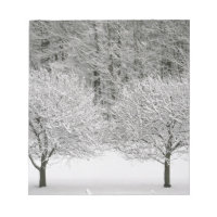 Schneelandschaft