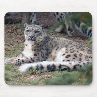 Schneeleopard 26 mousepad