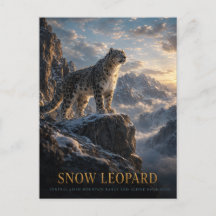 Schneeleopard Alpine Highlands TIEREN