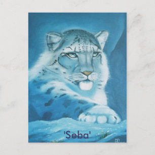 Schneeleopard, 'Seba' Postkarte