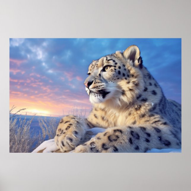 Schneeleopard Tierart Majestic Wild Poster (Vorne)