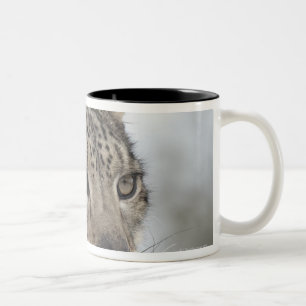 Schneeleopard (Uncia uncia) 2 Zweifarbige Tasse