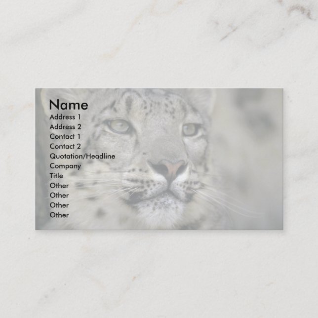 Schneeleopard Visitenkarte (Vorderseite)