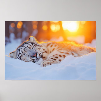 Schneeleopard Wildtier Natürliche Umgebung Poster