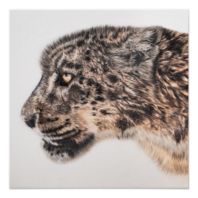 Schneeleoponwand Poster (Vorderseite)