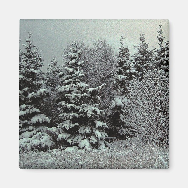 Schneemagnet Magnet (Vorne)