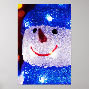 SCHNEEMANN POSTER