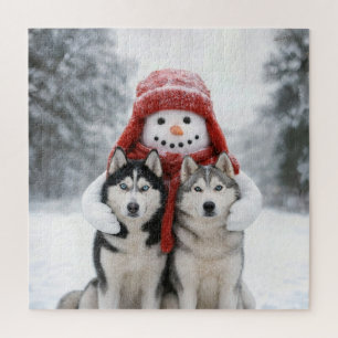 Schneemann umarmt sibirische Huskies