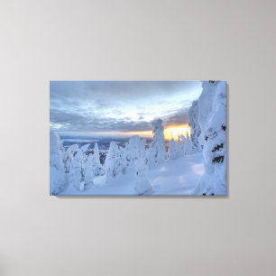 Schneemassen bei Sonnenuntergang im Pfahlfisch-Geb Leinwanddruck